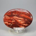 Snakeskin Jasper Palmstone (Extra Grade) ~70x50mm