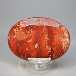 Snakeskin Jasper Palmstone (Extra Grade) ~70x50mm
