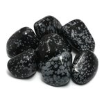 Snowflake Obsidian Tumble Stone (25-30mm)