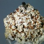 Spessartine Garnet Mineral Specimen ~57mm
