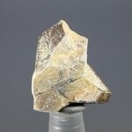 Staurolite Healing Crystal ~21mm