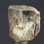 Staurolite Healing Crystal ~23mm