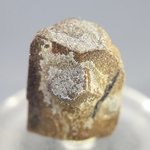 Staurolite Healing Crystal ~25mm