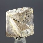 Staurolite Healing Crystal ~25mm