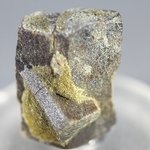 Staurolite Healing Crystal ~26mm