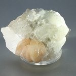 Stilbite with Apophyllite Cluster   ~6cm