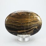 Stromatolite Palmstone (Extra Grade) ~70x50mm