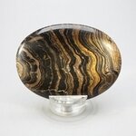 Stromatolite Palmstone (Extra Grade) ~70x50mm