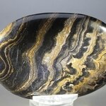 Stromatolite Palmstone (Extra Grade) ~70x50mm