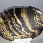 Stromatolite Palmstone (Extra Grade) ~70x50mm