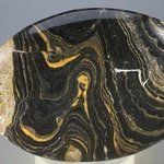 Stromatolite Palmstone (Extra Grade) ~70x50mm