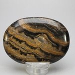 Stromatolite Palmstone (Extra Grade) ~70x50mm