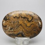 Stromatolite Palmstone (Extra Grade) ~70x50mm