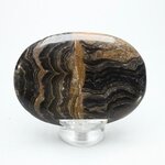 Stromatolite Palmstone (Extra Grade) ~70x50mm