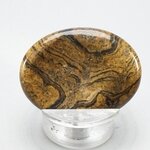 Stromatolite Thumbstone ~40x30mm