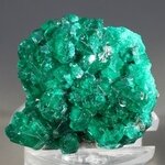 Stunning Dioptase Mineral Specimen (Tsumeb) ~32mm