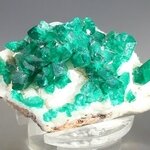 Stunning Dioptase Mineral Specimen (Tsumeb) ~50mm