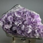 Super Grade Amethyst Cluster (Uruguayan) ~90 x 60mm