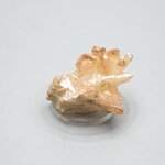 Tangerine Aura Quartz Healing Crystal ~37mm
