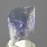 Tanzanite Mini Healing Crystal ~11mm