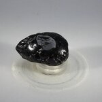 Tektite Tumblestone (Extra Grade) ~32mm