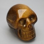 Tiger Eye Crystal Skull ~5.2 x 3.4cm