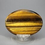 Tiger Eye Palmstone (Extra Grade) ~70x50mm