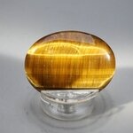 Tiger Eye Thumbstone (Extra Grade) ~40x30mm