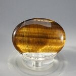 Tiger Eye Thumbstone (Extra Grade) ~40x30mm