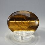 Tiger Eye Thumbstone (Extra Grade) ~40x30mm