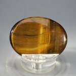 Tiger Eye Thumbstone (Extra Grade) ~40x30mm