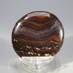 Tiger Iron Polished Flat Tumblestone ~32mm
