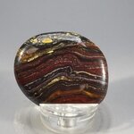 Tiger Iron Polished Flat Tumblestone ~36mm