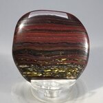 Tiger Iron Polished Flat Tumblestone ~43mm