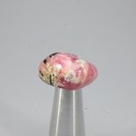 Tugtupite Tumblestone (Extra Grade) ~21mm