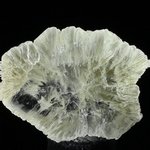 Tunellite Healing Crystal (Collector Grade) ~40mm