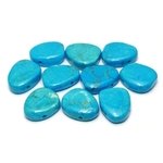 Turquoise Howlite Drilled Tumble Stone