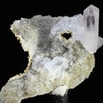 Vera Cruz Amethyst Crystal Group ~35mm