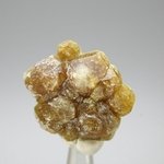 Vesuvianite Healing Crystal ~30mm