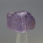 Violet Scapolite Healing Crystal ~22mm