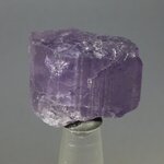 Violet Scapolite Healing Crystal ~25mm