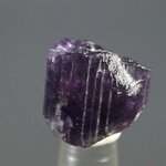 Violet Scapolite Healing Crystal (Extra Grade) ~16mm