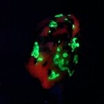 Willemite, Franklinite & Zincite Healing Mineral ~27mm