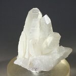 Woodhouseite Mineral Specimen ~35mm