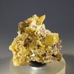 Wulfenite Healing Mineral ~33mm