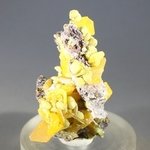 Wulfenite Healing Mineral ~38mm