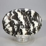 Zebra Jasper Palmstone (Extra Grade) ~70x50mm