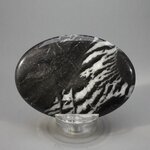 Zebra Jasper Palmstone (Extra Grade) ~70x50mm