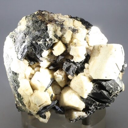 Aegirine & Orthoclase Mineral Specimen ~65mm