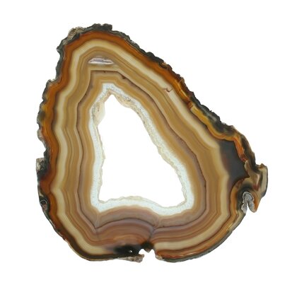 Agate Slice - Brown and honey coloured banded with crystal centre ~ 200mm